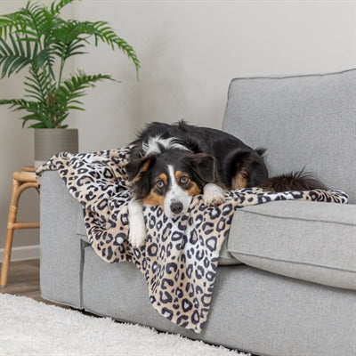 Trixie Hundedecke Leo Soft Plüsch Panther Print Creme