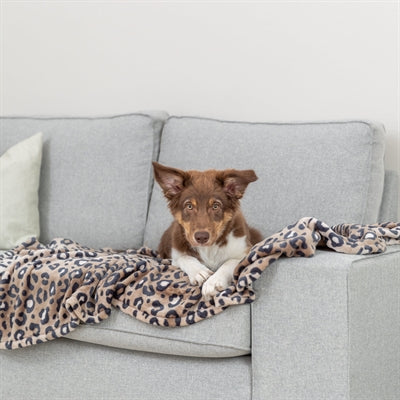Trixie Hundedecke Leo Soft Plüsch Panther Print Braun