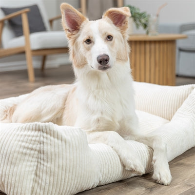 Trixie Vitaler Hundekorb Jonna Eckige Rippe Samtcreme