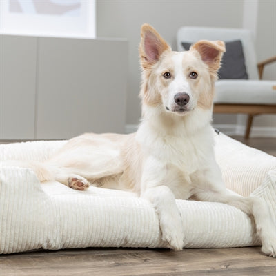 Trixie Vitaler Hundekorb Jonna Eckige Rippe Samtcreme